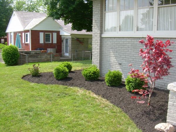 Greenimage Landscape & Design