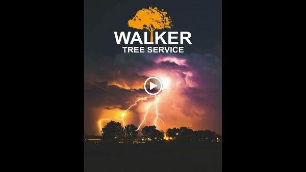 Walker Tree Service