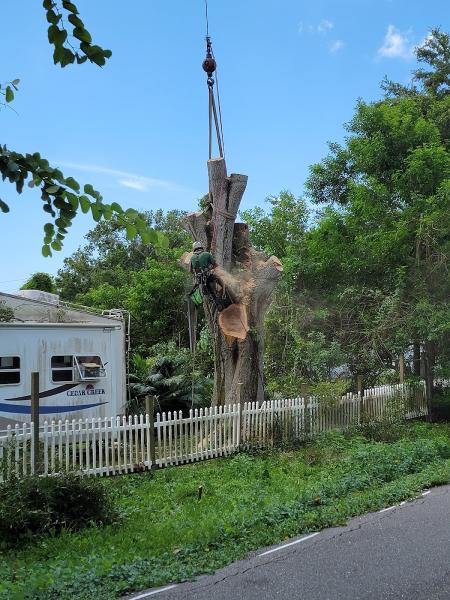 Walker Tree Service