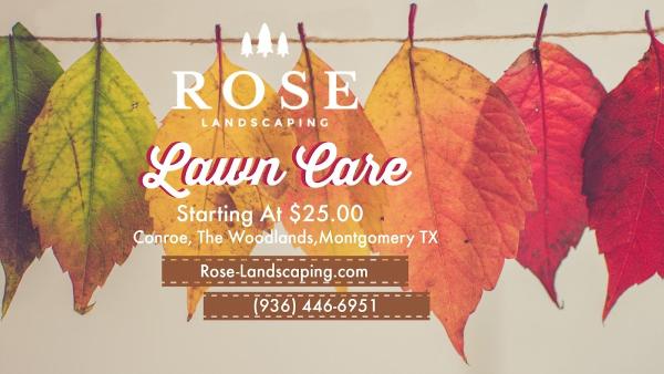 Rose Landscaping