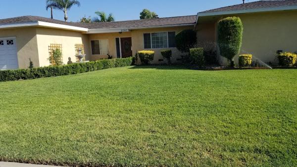 Wetland Landscaping Maintenance