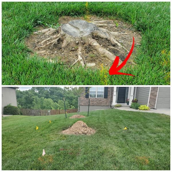 Heartland Stump Removal