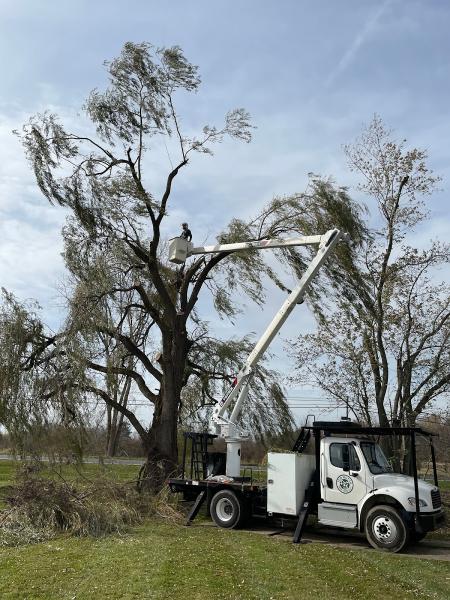 Top Notch Tree Care