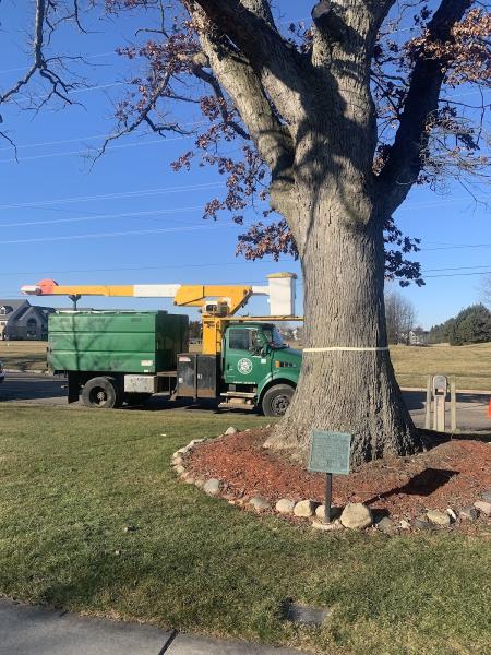 Top Notch Tree Care