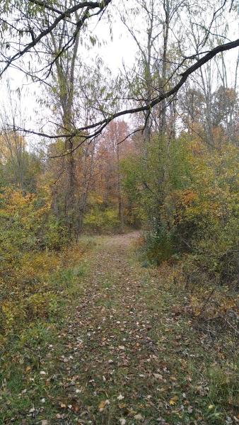 Crum Park Farm Land Management