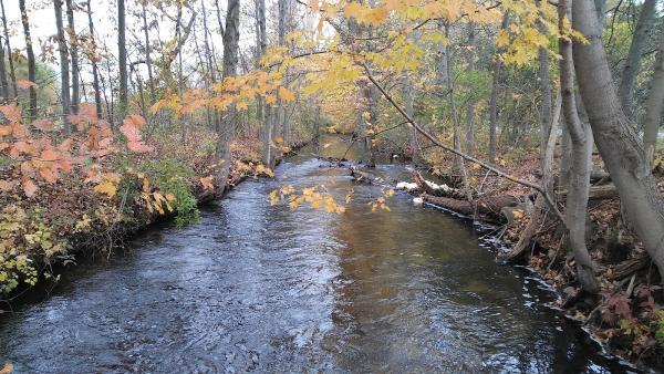 Crum Park Farm Land Management