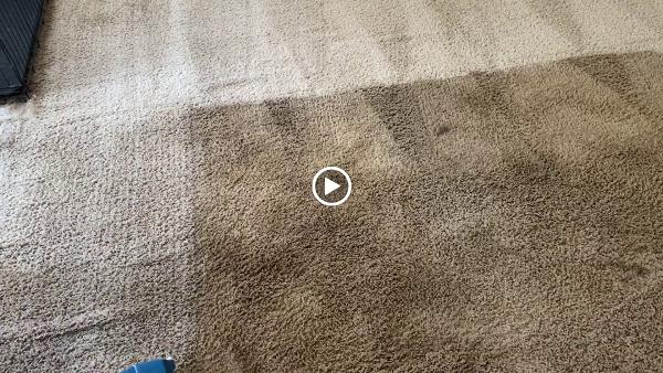 Servicepro Carpet Cleaning