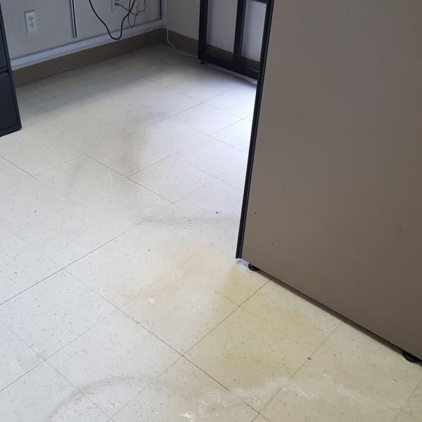 Office and Home Cleaning Services