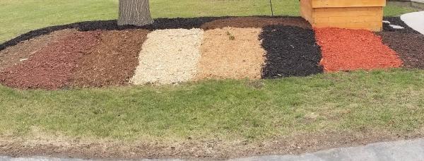 A&M Trees LLC