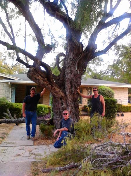 Real Stump Busters