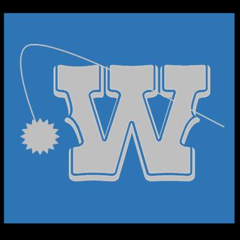 Western Indoor Environmental Services