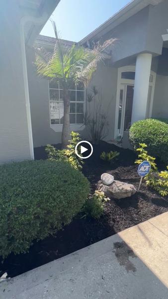 Evergreen Landscapes