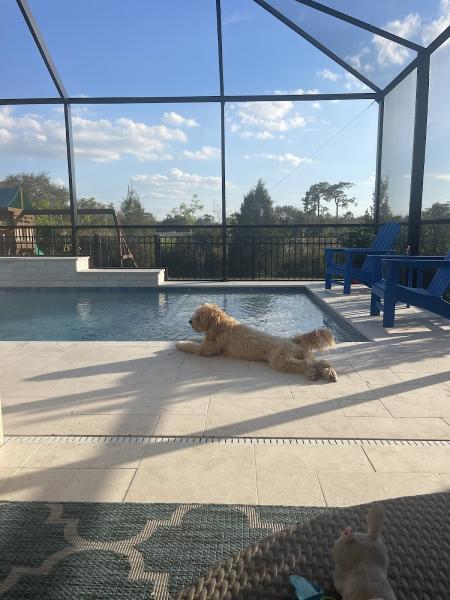 Landis Pool Services