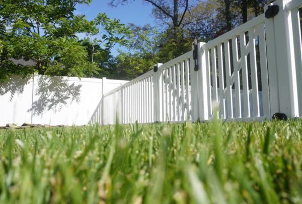 Pintail Property Services