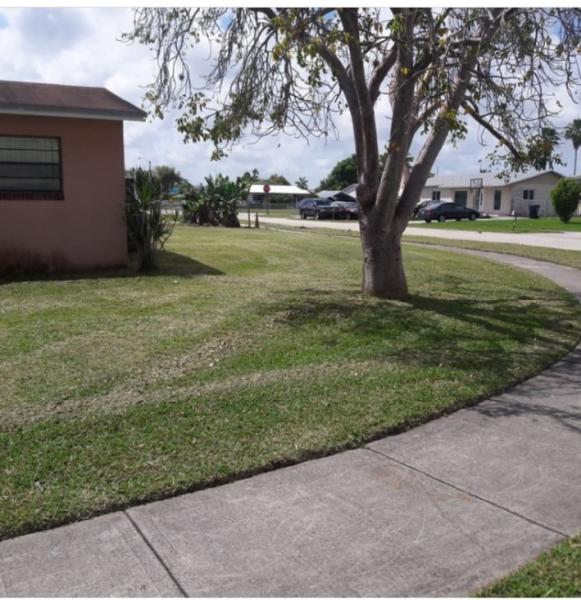 Elite Lawn Care & Tree Service