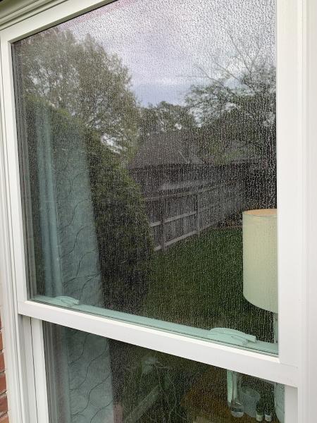 Sunshine Window Cleaning Co.