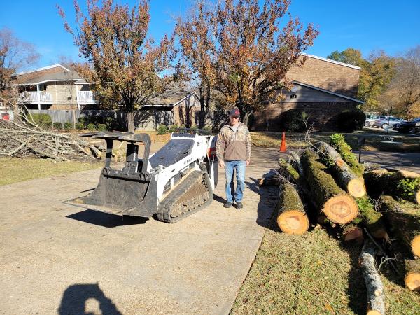 Ray's Tree Works