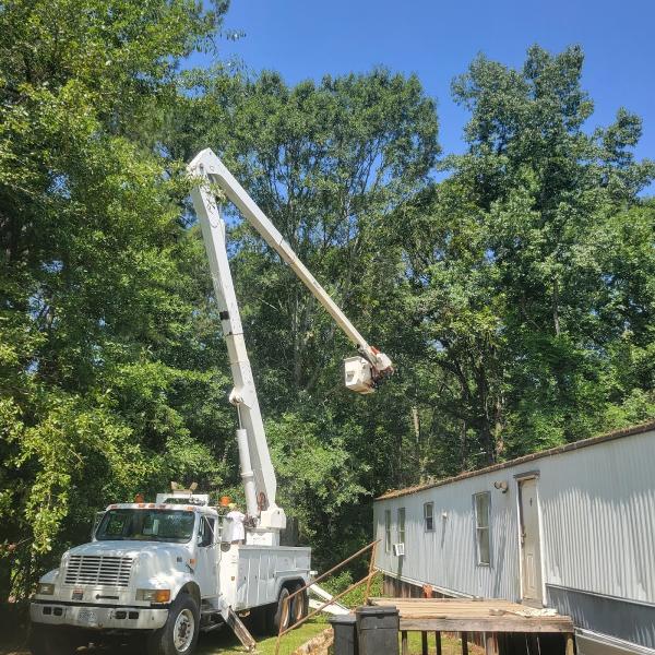 Ray's Tree Works