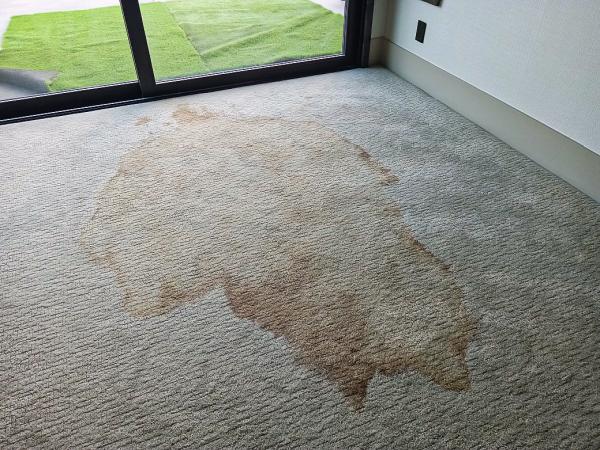 Summit Mountain Cleaning