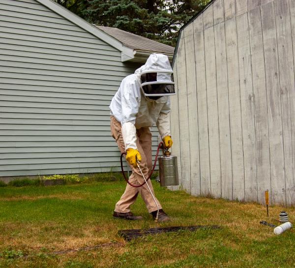 Absolute Pest Control