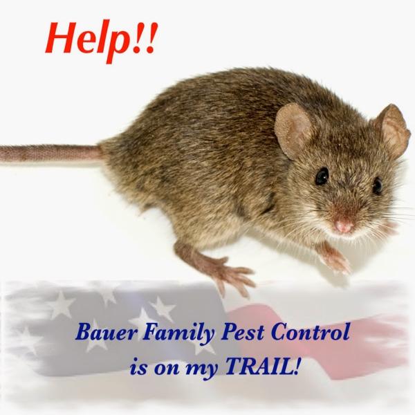 Bauer Family Pest Control