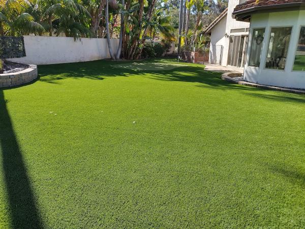 Synlawn Bay Area