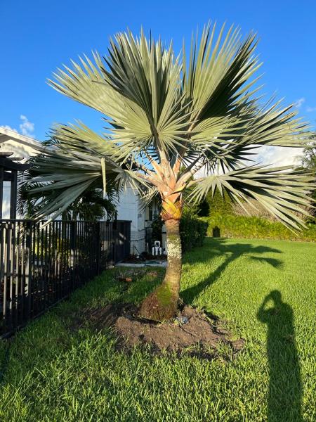 West Boca Lawn LLC