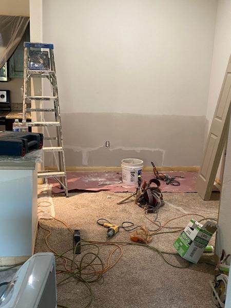 Remodeling Del Castillo