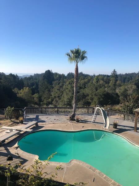 SL Tree Services