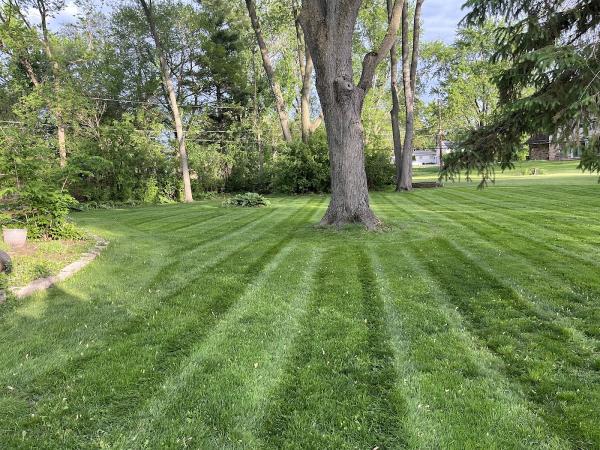 Justified Living Landscaping