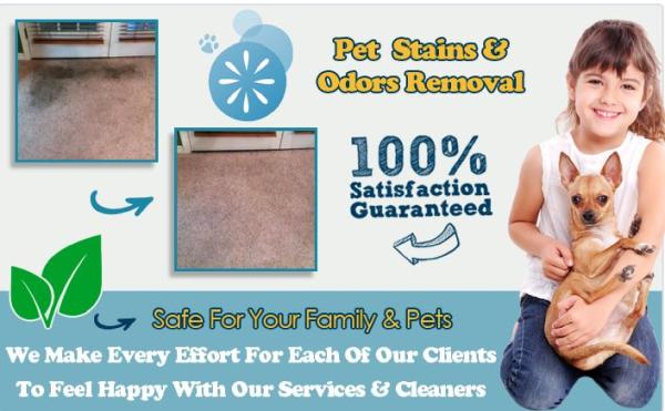 Carpet Cleaning Arlington City
