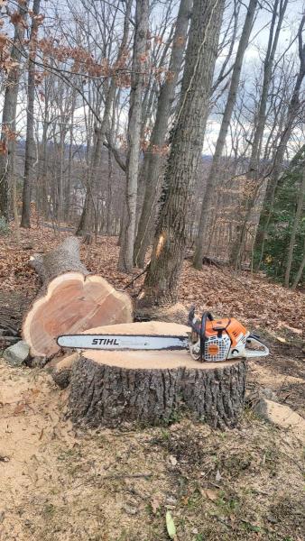 Watts Tree Experts