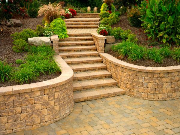 Scapes Inc