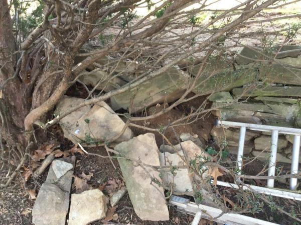 Lion Stone Masonry & Repair