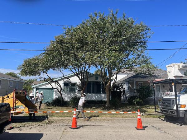 All Seasons Tree Service