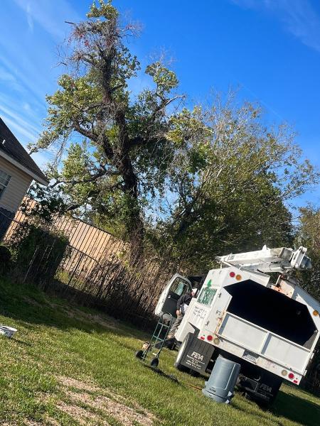 All Seasons Tree Service