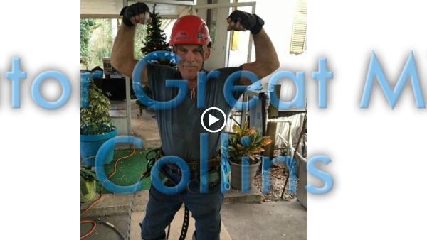 Collins Tree Service