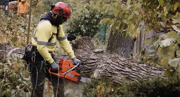 Pro-Tree Outdoor Services