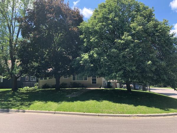Pro-Tree Outdoor Services
