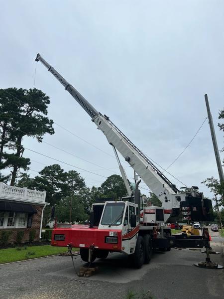 Molina's Tree Service & Landscaping LLC