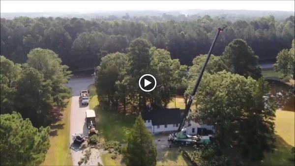 Molina's Tree Service & Landscaping LLC