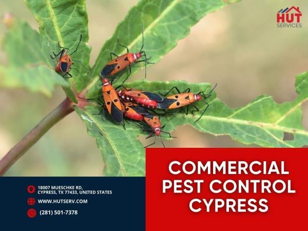 HUT Pest Control