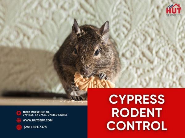 HUT Pest Control