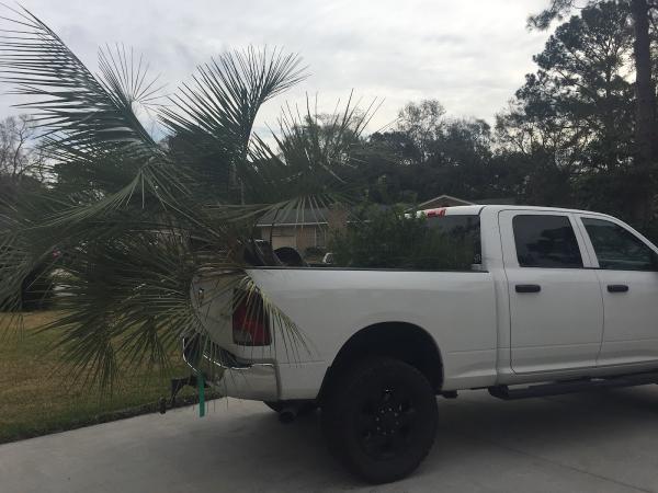 Pickett Lawn Care