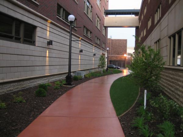 Paragon Associates