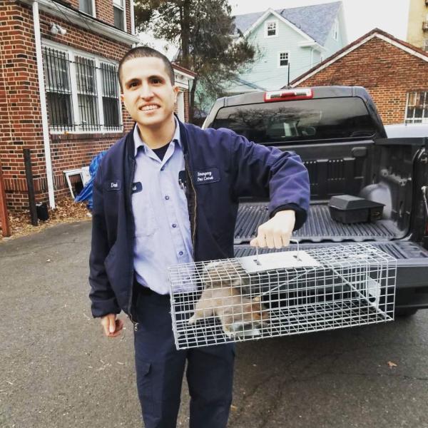 Emergency Pest Control Inc