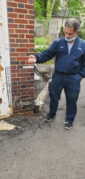 Emergency Pest Control Inc