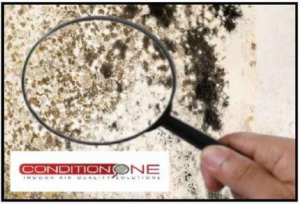 Condition One Indoor Air Quality Solutions