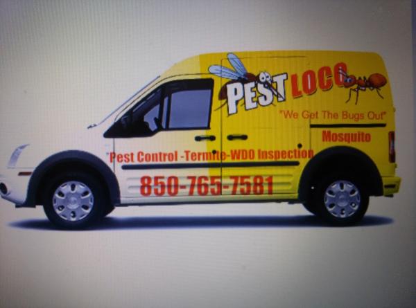 Pestloco Termite & Pest Control