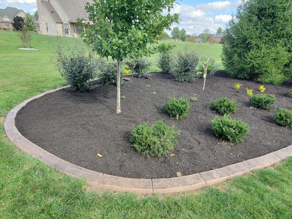 Jarvis Curb Appeal LLC